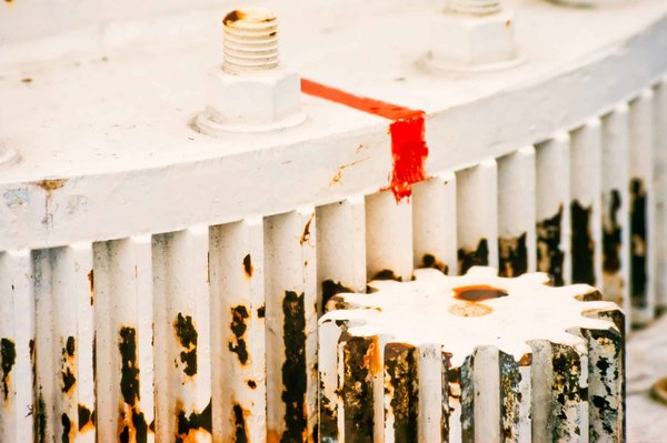 Quelles techniques peuvent aider un chien à mieux gérer ses impulsions en présence de nourriture ?